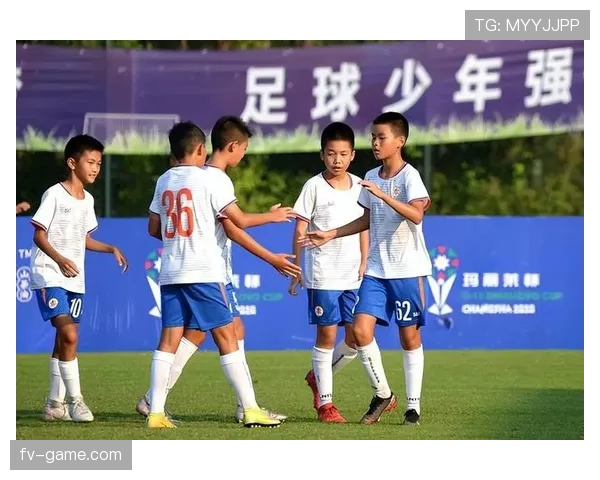 巴西青训体系持续发力，为未来足球新星铺就成长快车道