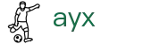 爱游戏官方AYX - 爱游戏体育官网入口